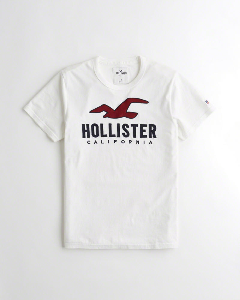 Magliette Hollister Uomo Logo Bianche Italia (464EFOAK)